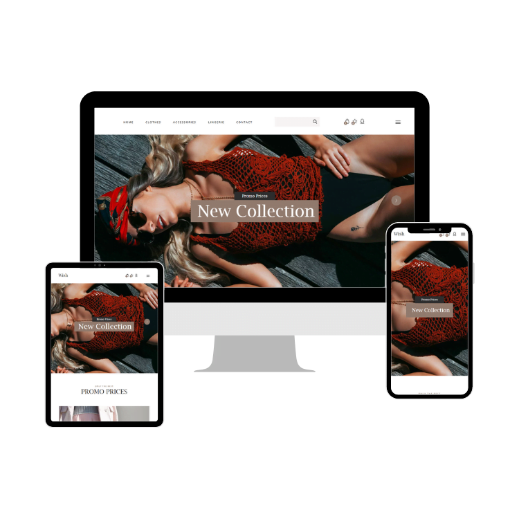 ecommerce WordPress Website