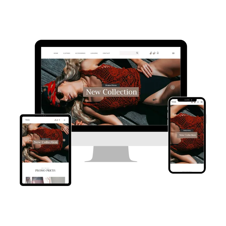 ecommerce WordPress Website